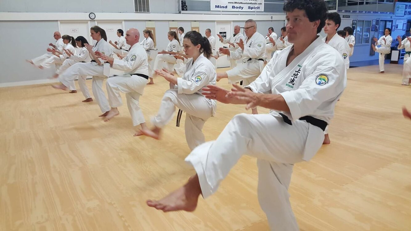 White Mountain Karate Three Free Trial Classes