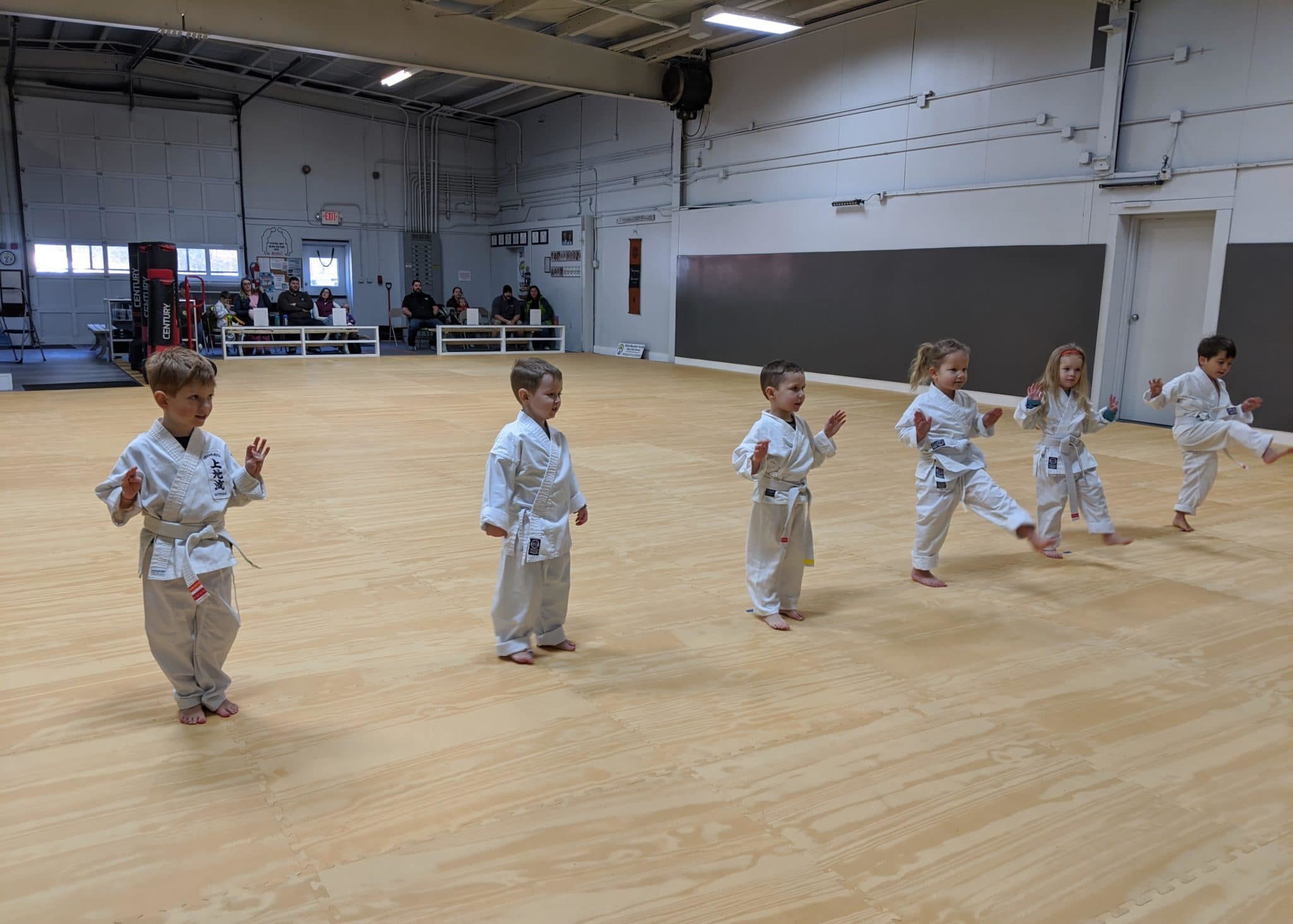 White Mountain Karate Gallery Photo Number 13