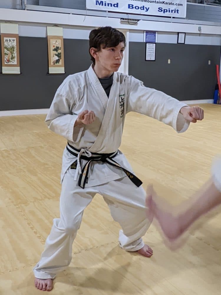 White Mountain Karate Gallery Photo Number 1