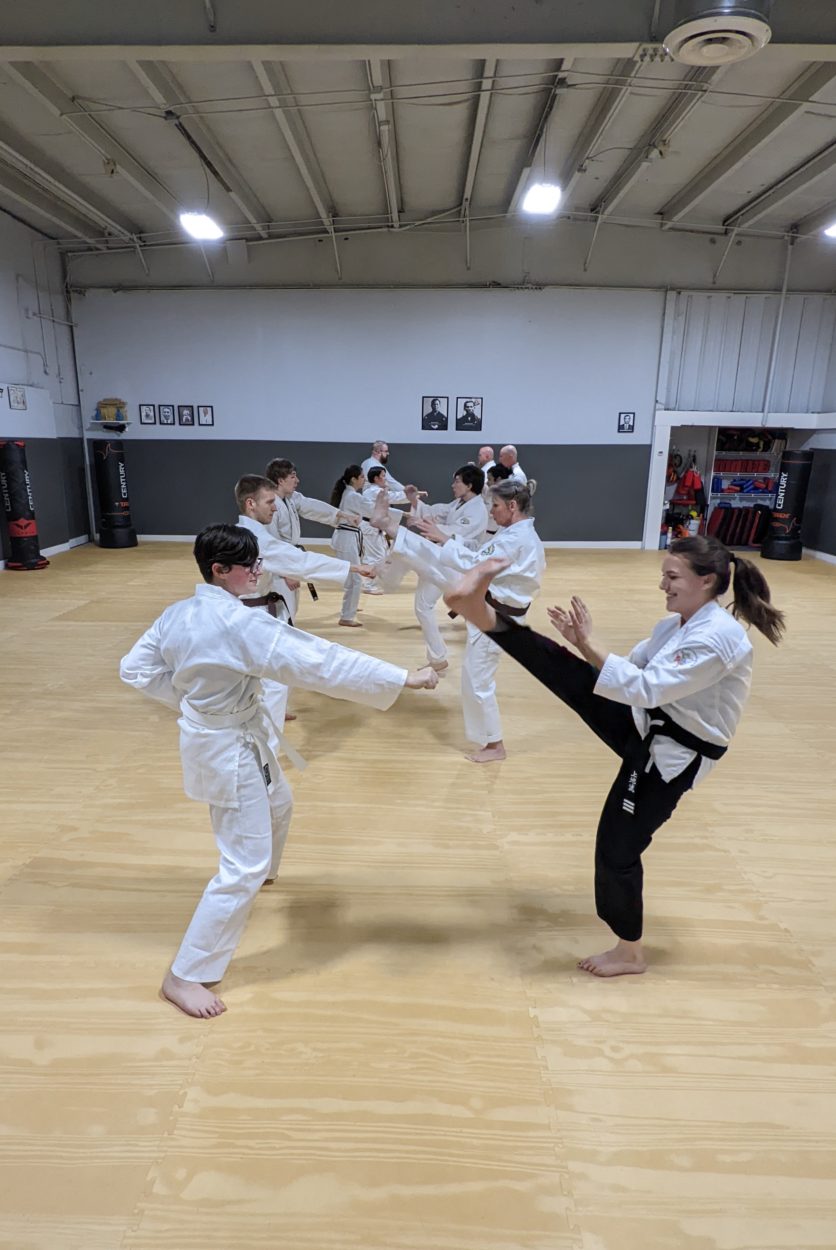 White Mountain Karate Gallery Photo Number 7