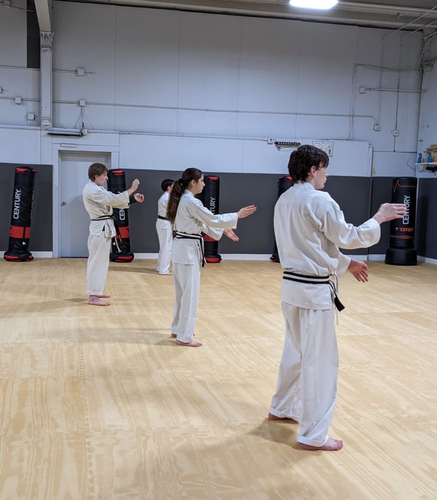 White Mountain Karate Gallery Photo Number 14