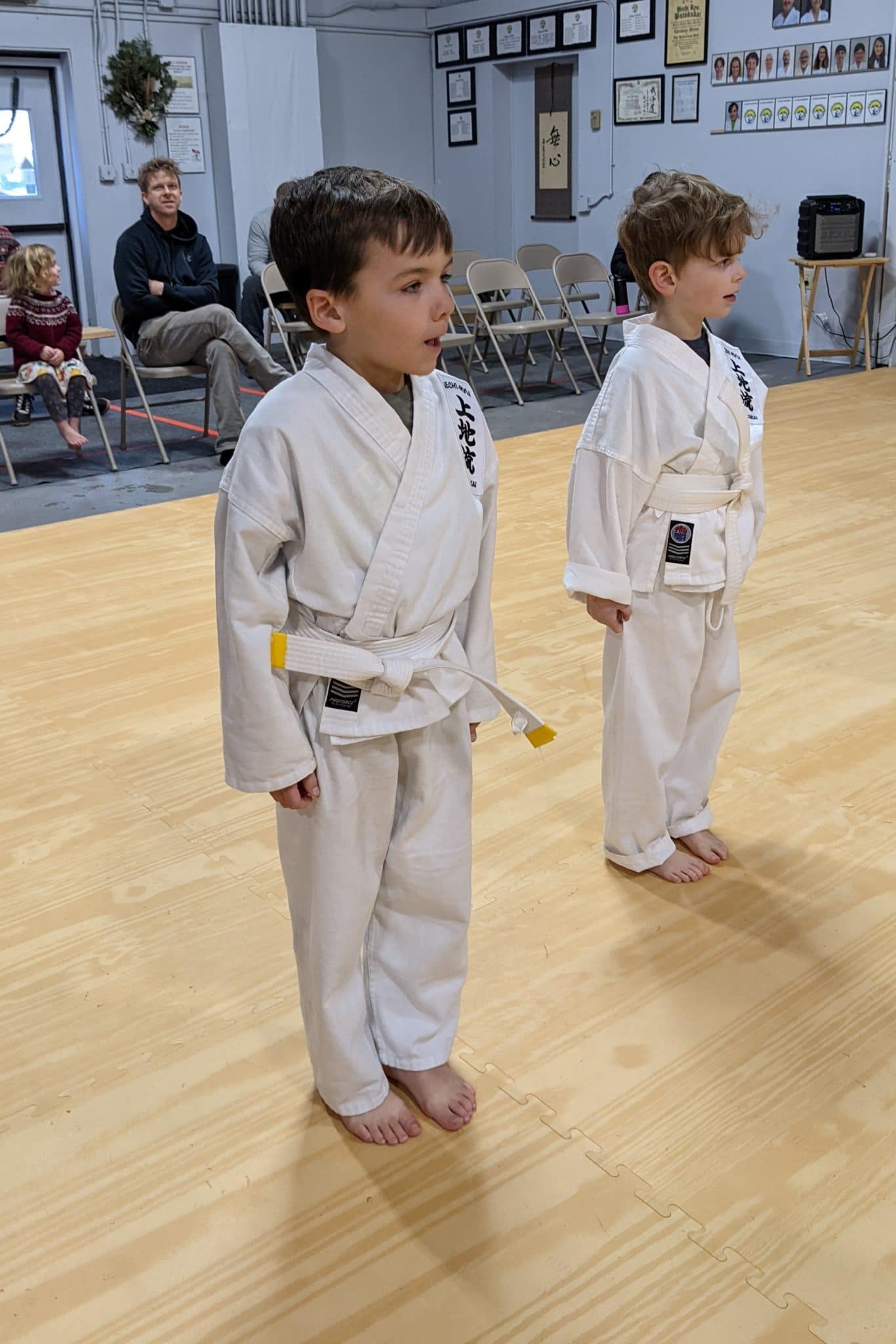 White Mountain Karate Juniors (Ages 5-13)