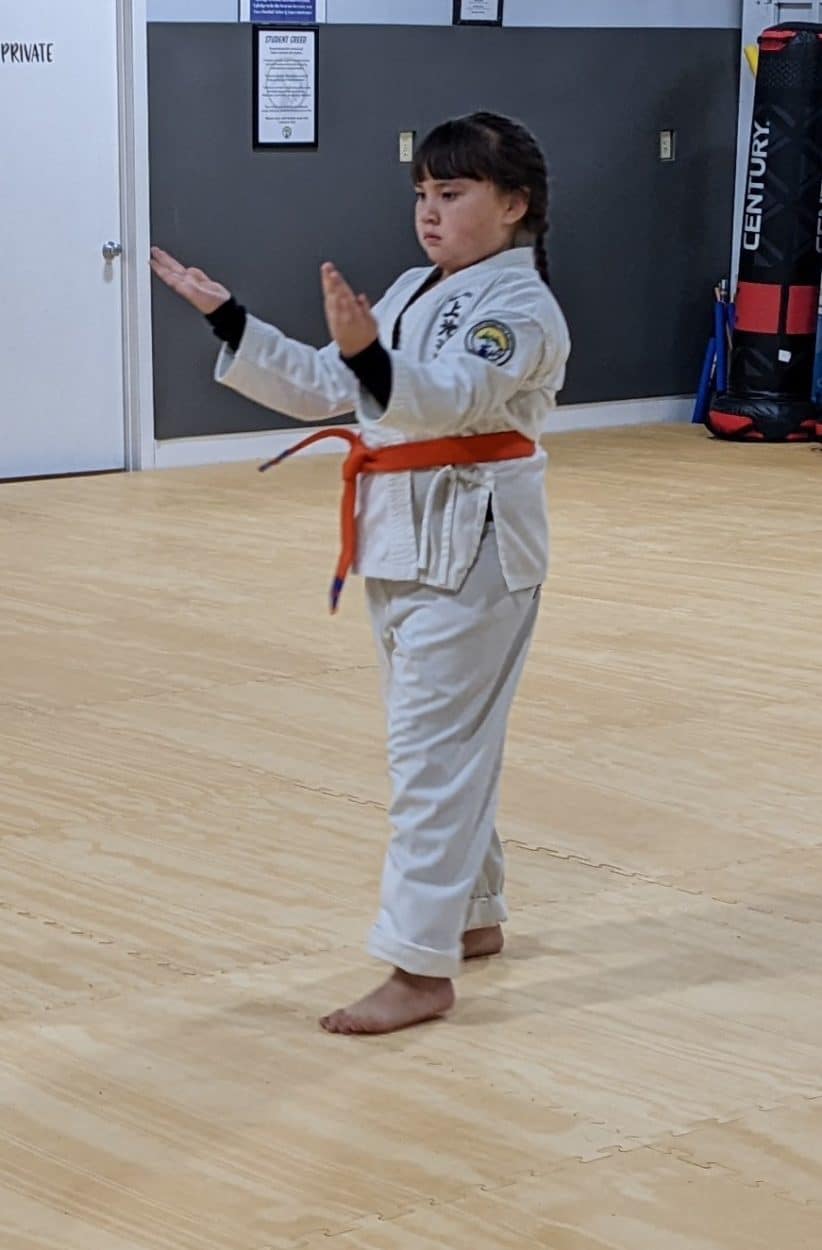 White Mountain Karate Gallery Photo Number 6
