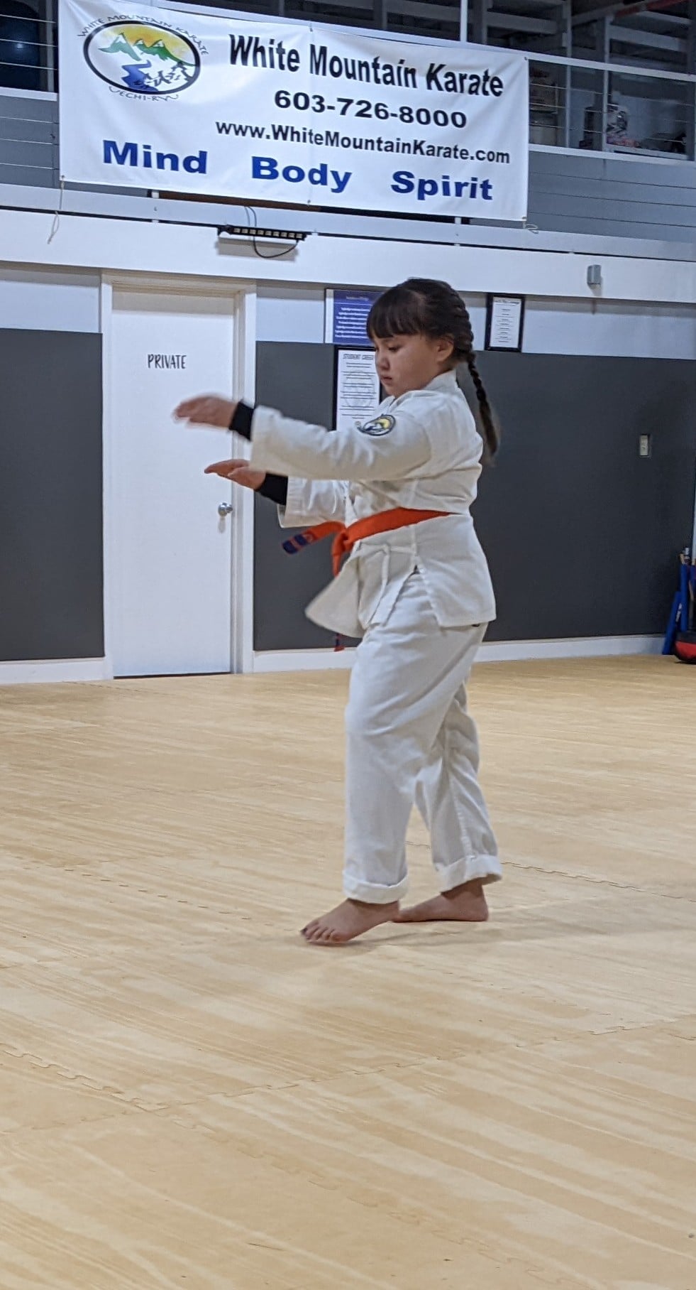 White Mountain Karate Gallery Photo Number 4