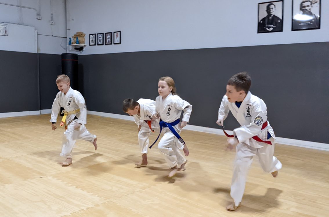 White Mountain Karate Gallery Photo Number 9
