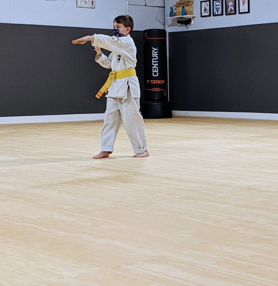 White Mountain Karate Gallery Photo Number 11