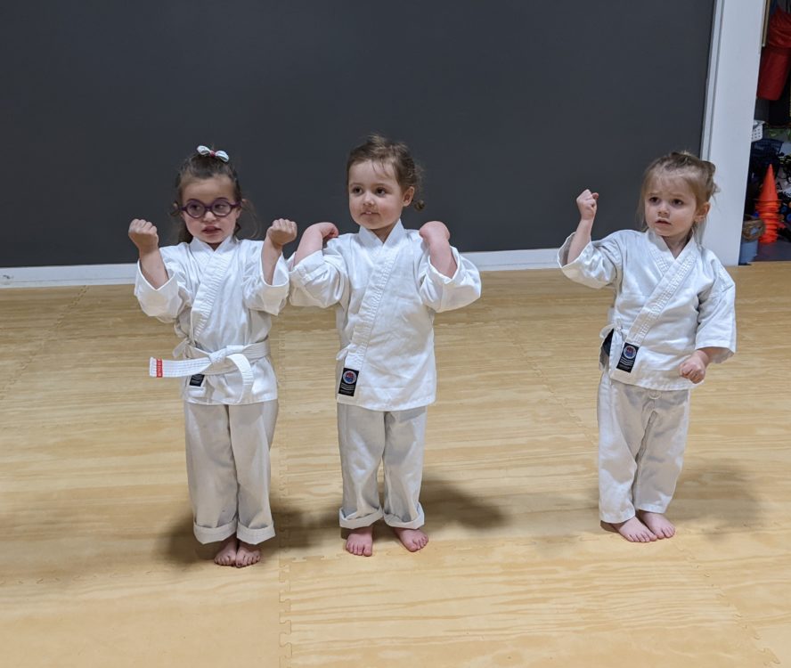 White Mountain Karate Gallery Photo Number 2